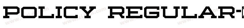 Policy Regular字体转换 Policy Regular字体转换